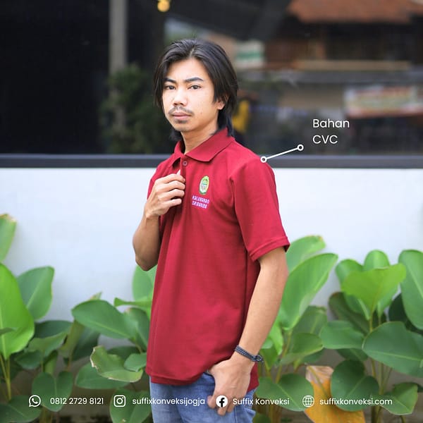 POLO - Image 2